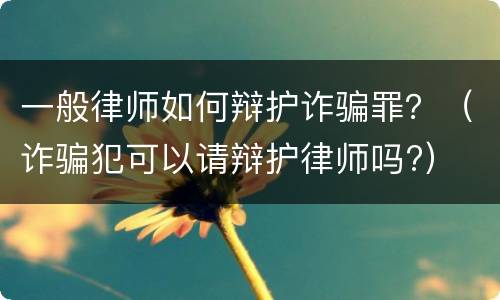 一般律师如何辩护诈骗罪？（诈骗犯可以请辩护律师吗?）