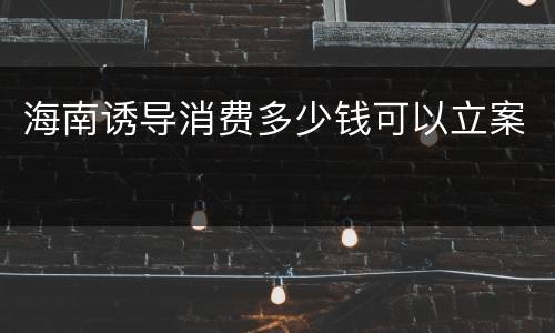 海南诱导消费多少钱可以立案