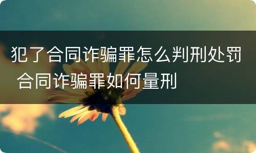 犯了合同诈骗罪怎么判刑处罚 合同诈骗罪如何量刑