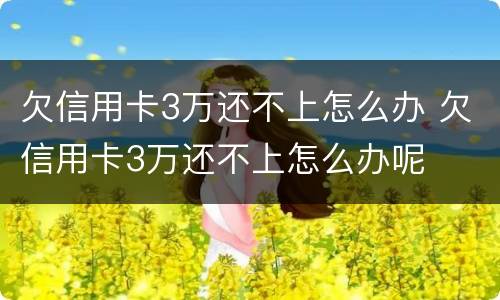 欠信用卡3万还不上怎么办 欠信用卡3万还不上怎么办呢