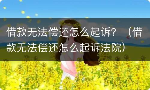 借款无法偿还怎么起诉？（借款无法偿还怎么起诉法院）
