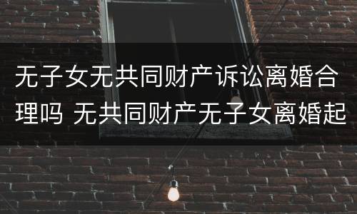 无子女无共同财产诉讼离婚合理吗 无共同财产无子女离婚起诉书范文