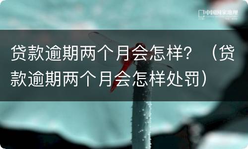 贷款逾期两个月会怎样？（贷款逾期两个月会怎样处罚）