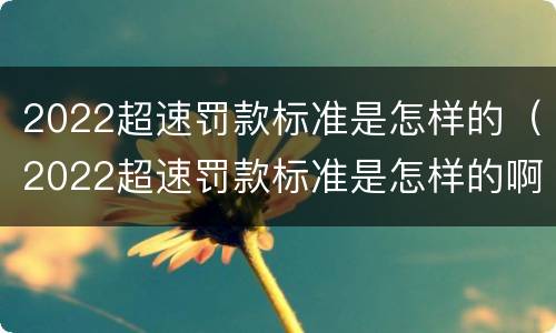 2022超速罚款标准是怎样的（2022超速罚款标准是怎样的啊）