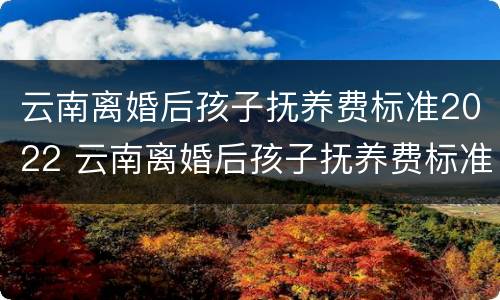 云南离婚后孩子抚养费标准2022 云南离婚后孩子抚养费标准2022多少