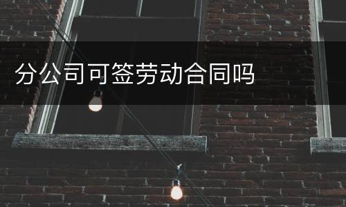 分公司可签劳动合同吗