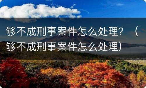 够不成刑事案件怎么处理？（够不成刑事案件怎么处理）