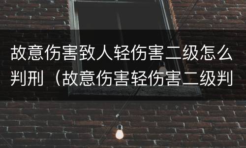 故意伤害致人轻伤害二级怎么判刑（故意伤害轻伤害二级判多少年）