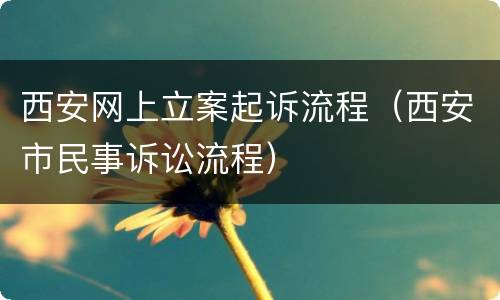 西安网上立案起诉流程（西安市民事诉讼流程）