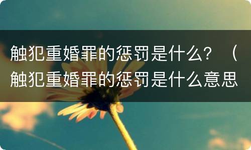 触犯重婚罪的惩罚是什么？（触犯重婚罪的惩罚是什么意思）
