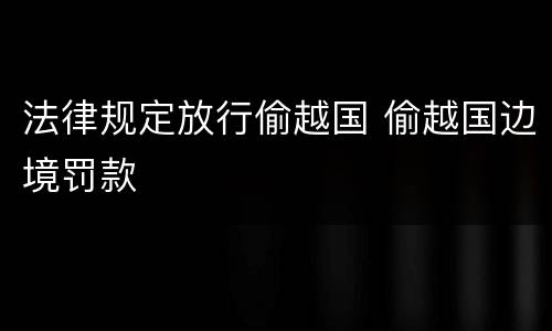 法律规定放行偷越国 偷越国边境罚款
