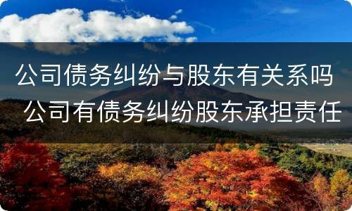 公司债务纠纷与股东有关系吗 公司有债务纠纷股东承担责任吗