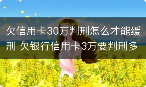 欠信用卡30万判刑怎么才能缓刑 欠银行信用卡3万要判刑多久