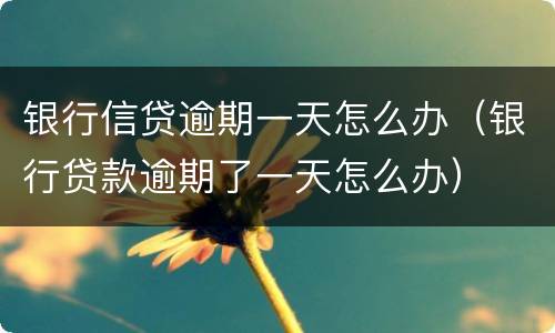 银行信贷逾期一天怎么办（银行贷款逾期了一天怎么办）