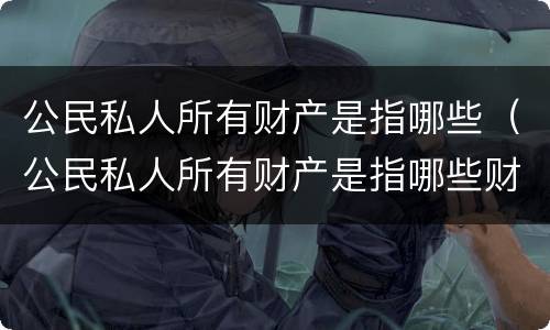 公民私人所有财产是指哪些（公民私人所有财产是指哪些财产）