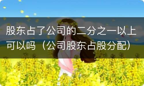 股东占了公司的二分之一以上可以吗（公司股东占股分配）
