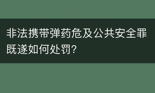 非法携带弹药危及公共安全罪既遂如何处罚？