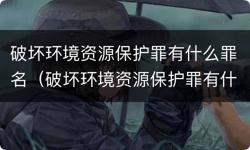 破坏环境资源保护罪有什么罪名（破坏环境资源保护罪有什么罪名吗）