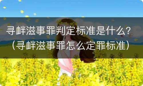 寻衅滋事罪判定标准是什么？（寻衅滋事罪怎么定罪标准）