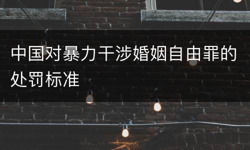 中国对暴力干涉婚姻自由罪的处罚标准