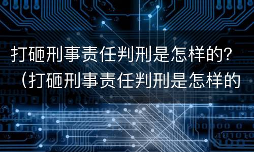 打砸刑事责任判刑是怎样的？（打砸刑事责任判刑是怎样的案件）
