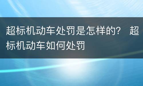 超标机动车处罚是怎样的？ 超标机动车如何处罚