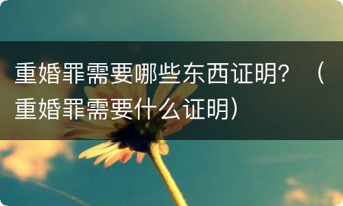 重婚罪需要哪些东西证明？（重婚罪需要什么证明）