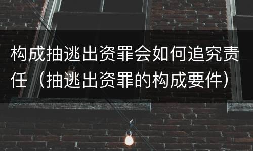 构成抽逃出资罪会如何追究责任（抽逃出资罪的构成要件）