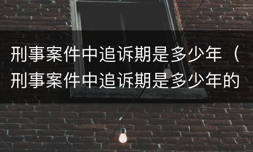 刑事案件中追诉期是多少年（刑事案件中追诉期是多少年的）