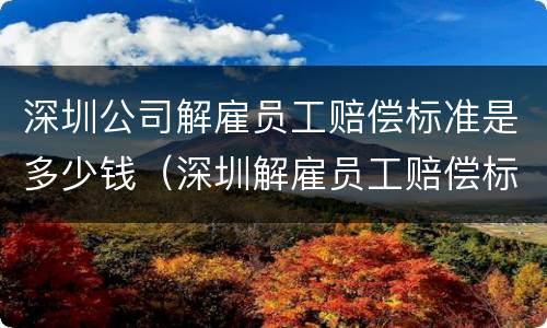 深圳公司解雇员工赔偿标准是多少钱（深圳解雇员工赔偿标准2019）