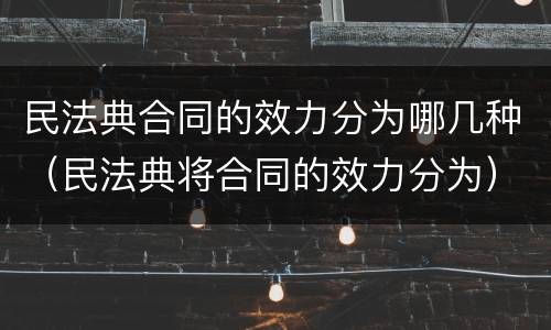 民法典合同的效力分为哪几种（民法典将合同的效力分为）
