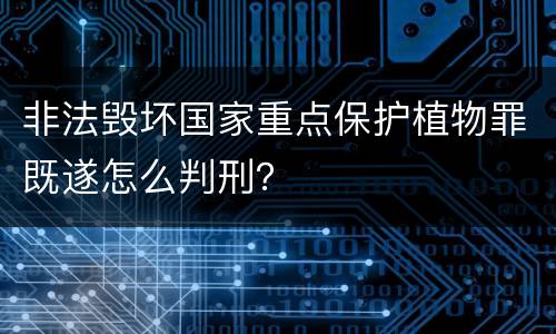 非法毁坏国家重点保护植物罪既遂怎么判刑？