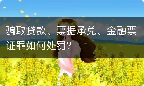 骗取贷款、票据承兑、金融票证罪如何处罚?