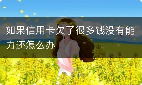 如果信用卡欠了很多钱没有能力还怎么办
