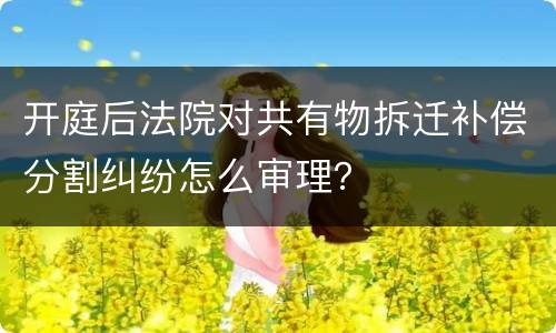开庭后法院对共有物拆迁补偿分割纠纷怎么审理？
