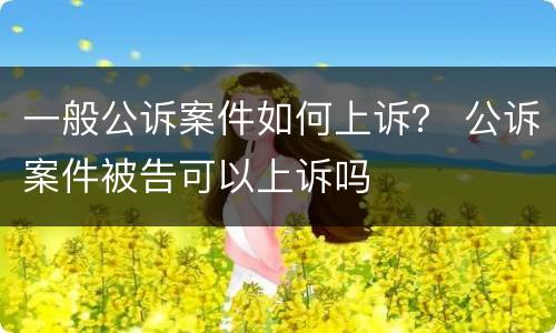 一般公诉案件如何上诉？ 公诉案件被告可以上诉吗
