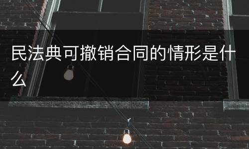 民法典可撤销合同的情形是什么