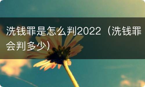 洗钱罪是怎么判2022（洗钱罪会判多少）