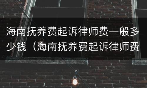 海南抚养费起诉律师费一般多少钱（海南抚养费起诉律师费一般多少钱一次）