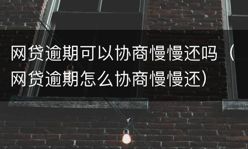网贷逾期可以协商慢慢还吗（网贷逾期怎么协商慢慢还）