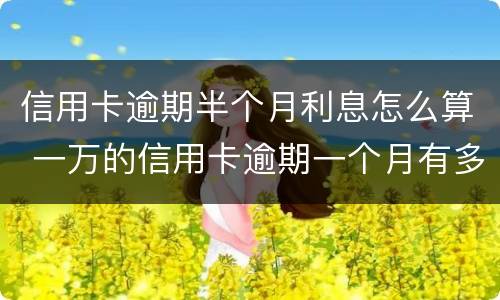 信用卡逾期半个月利息怎么算 一万的信用卡逾期一个月有多少利息