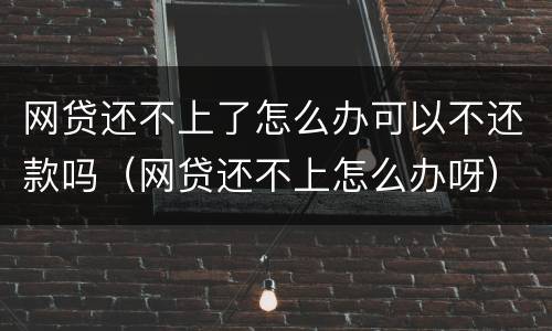 网贷还不上了怎么办可以不还款吗（网贷还不上怎么办呀）