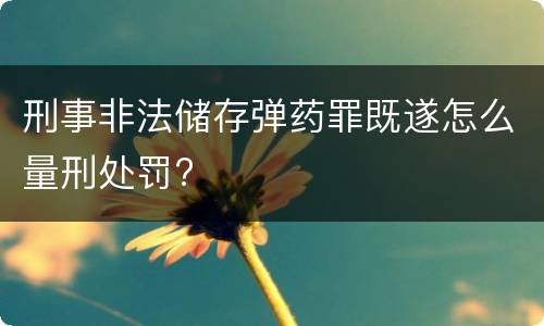 刑事非法储存弹药罪既遂怎么量刑处罚?