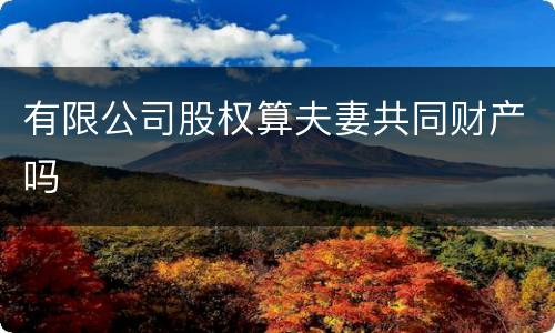 有限公司股权算夫妻共同财产吗