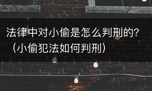 法律中对小偷是怎么判刑的？（小偷犯法如何判刑）