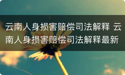 云南人身损害赔偿司法解释 云南人身损害赔偿司法解释最新
