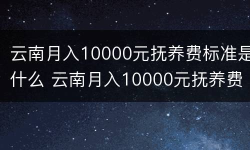 云南月入10000元抚养费标准是什么 云南月入10000元抚养费标准是什么样的