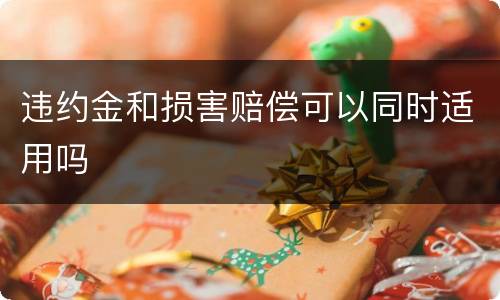 违约金和损害赔偿可以同时适用吗