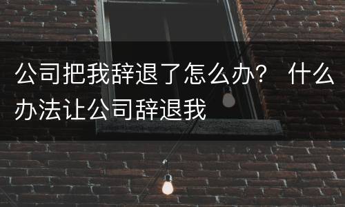 公司把我辞退了怎么办？ 什么办法让公司辞退我