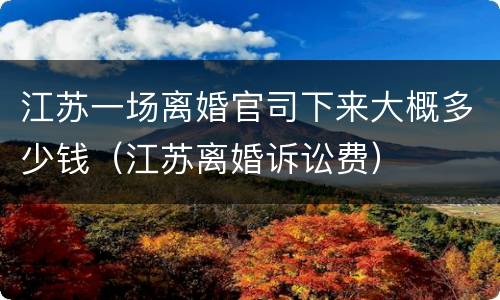 江苏一场离婚官司下来大概多少钱（江苏离婚诉讼费）
